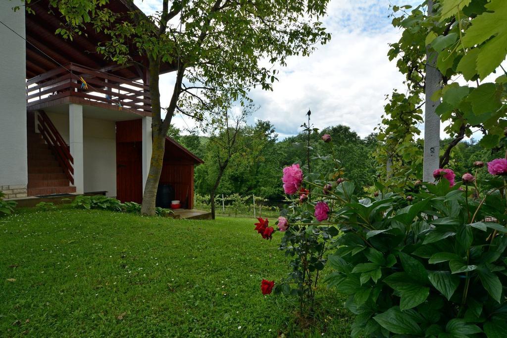 Korana Apartment Slunj Quarto foto